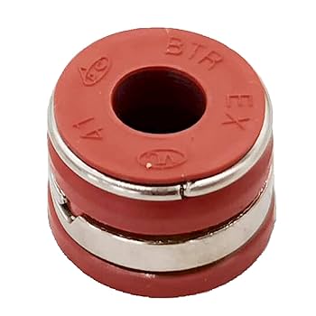 Amazon.com: SHESWEET 12PCS Valve Stem Seals 3921640 3901097